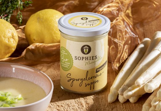 Rudolf-Sophien-Stift